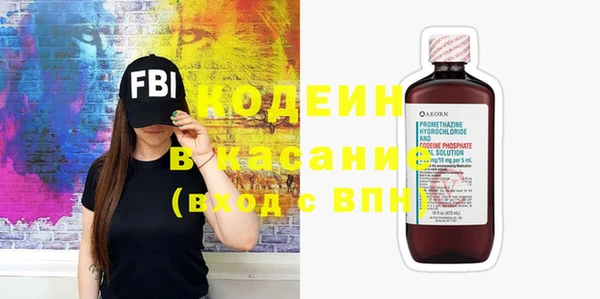 сатива Кулебаки