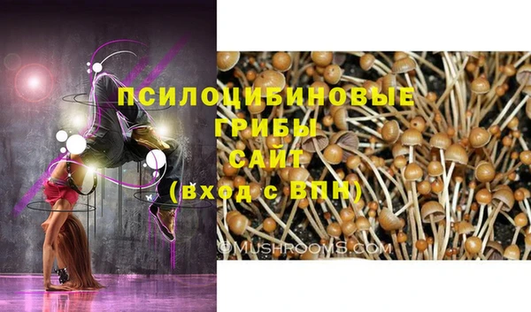 сатива Кулебаки