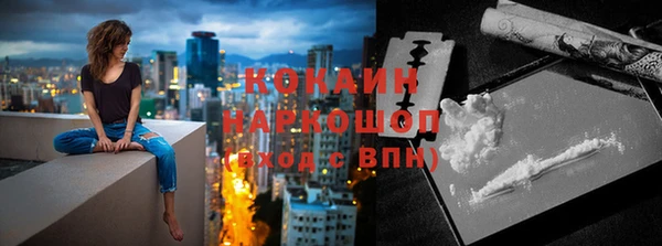 сатива Кулебаки