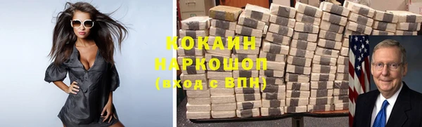 сатива Кулебаки
