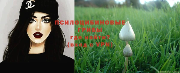сатива Кулебаки