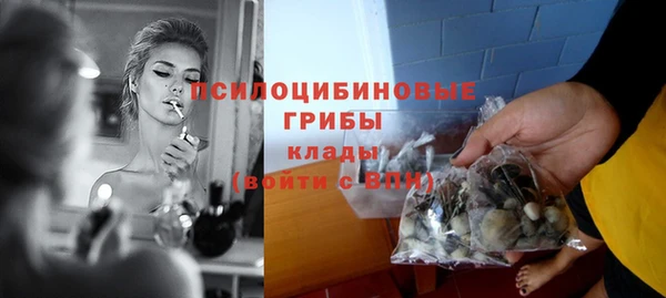 прущие крисы Куйбышев