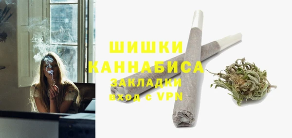 сатива Кулебаки