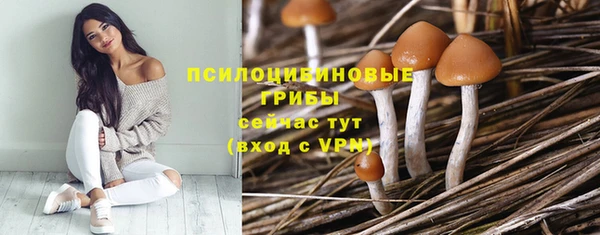 сатива Кулебаки
