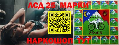 a pvp Камышлов