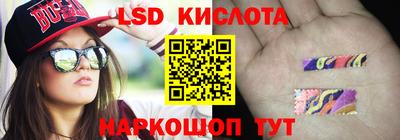 a pvp Камышлов