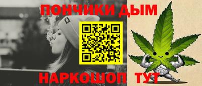 a pvp Камышлов