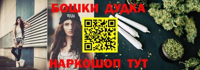 a pvp Камышлов