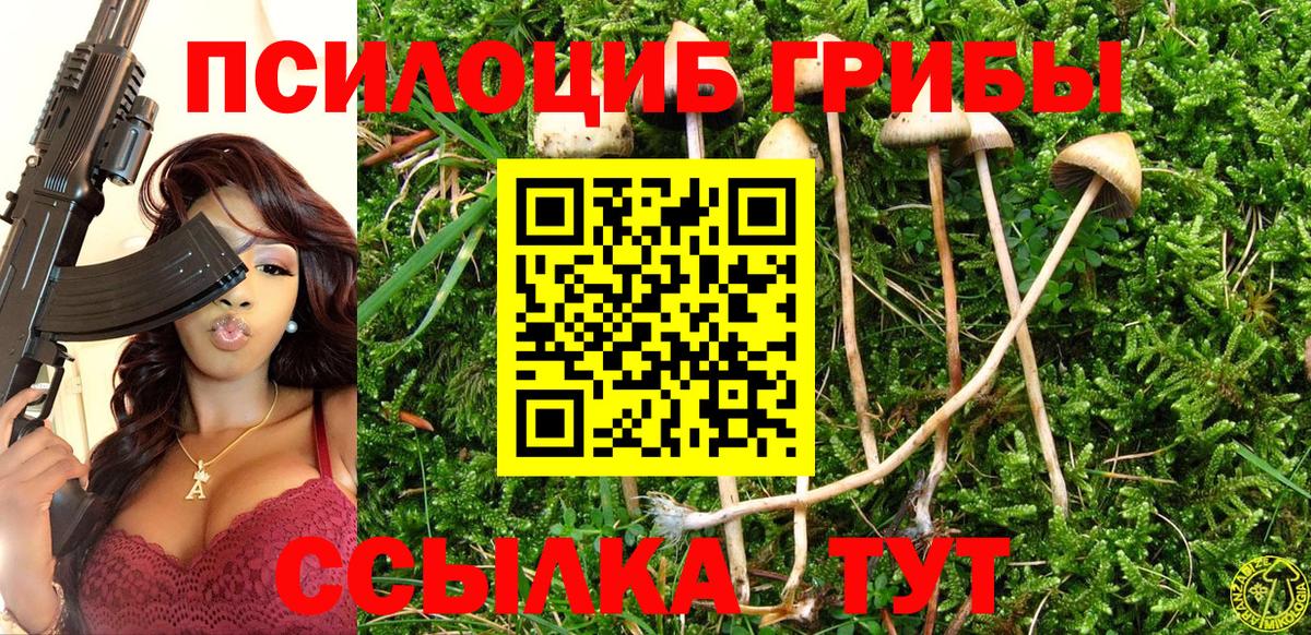 Псилоцибиновые грибы мухоморы Троицк